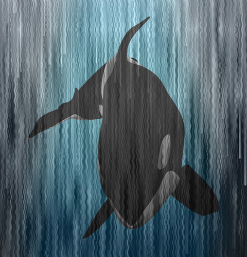 Navy Orca Ocean Silhouette Artwork