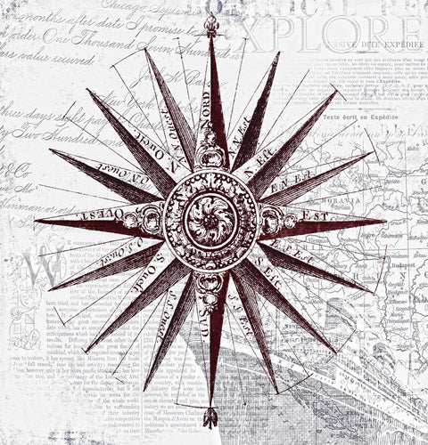 Brown Compass Star Nautical Illustration