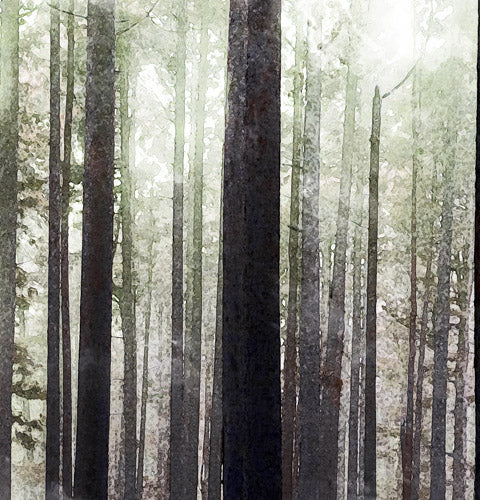 Green Misty Forest Landscape Artwork Window Curtains