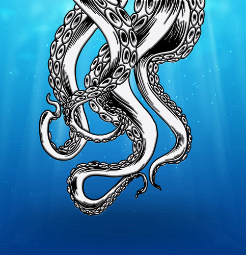 Silver Octopus Ocean Illustration Artwork