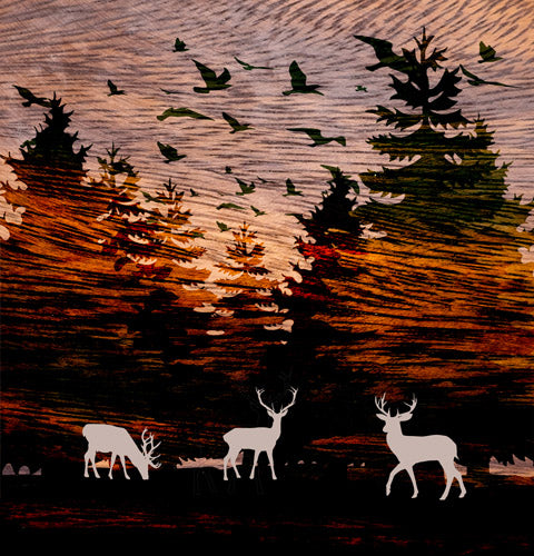 Orange Sunset Deer Forest Landscape