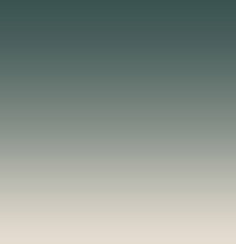 Green Neutral Gradient Minimalist Pattern