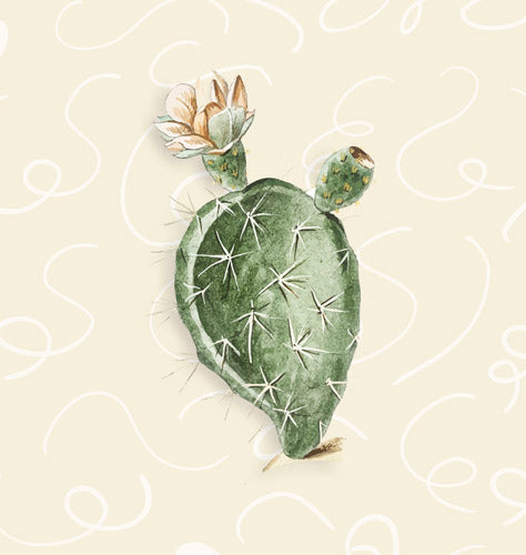 Green Desert Cactus Botanical Illustration