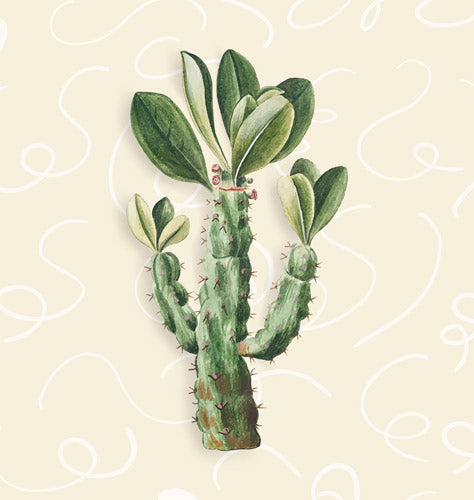 Green Succulent Plant Botanical Print