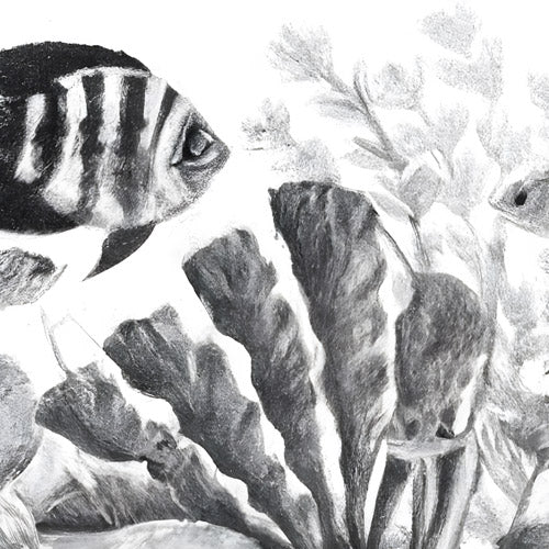 Gray Coral Reef Illustration Pattern