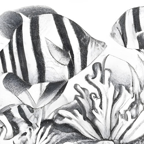 Gray Fish Reef Illustration Pattern